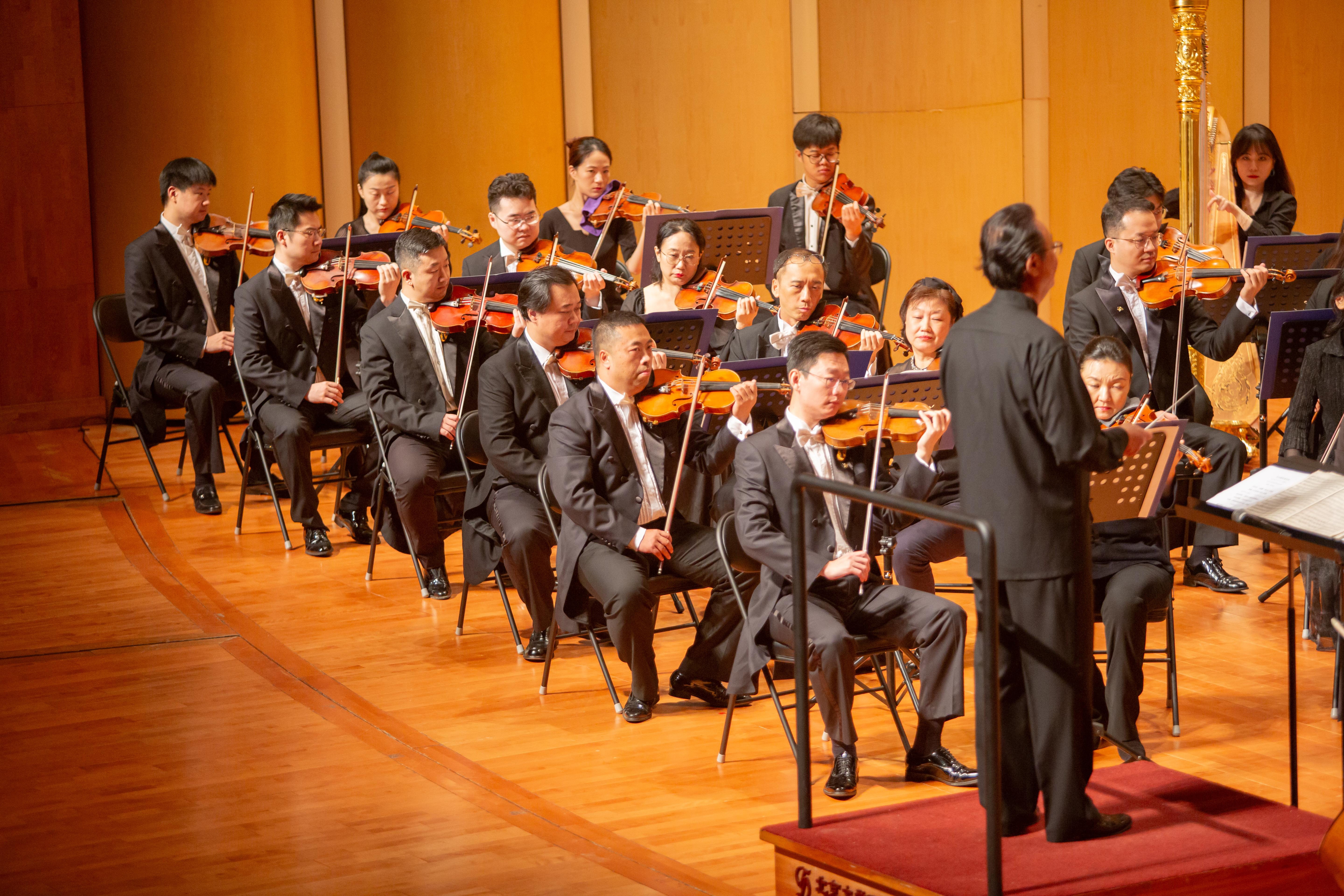 d47e2642350241fabe093c259a0b3e30.jpg 006A8948.jpg